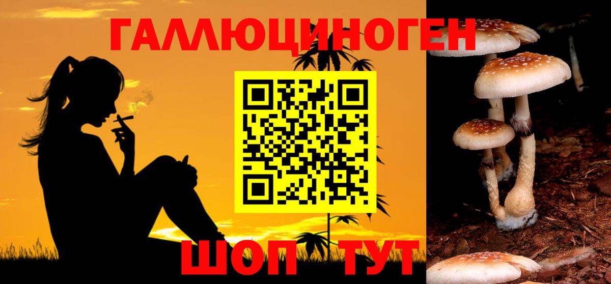 Ливны  где можно купить наркотик  Псилоцибиновые грибы MAGIC MUSHROOMS  Вход с VPN  Псилоцибиновые грибы Psilocybine cubensis 